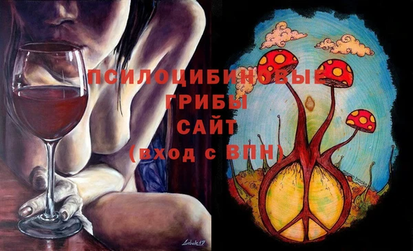 Альфа ПВП Тында