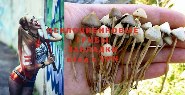 Альфа ПВП Тында