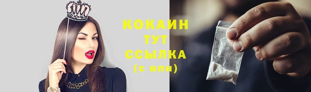 дмт Курчалой
