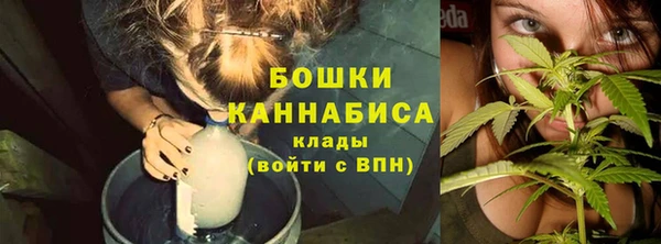 Альфа ПВП Тында