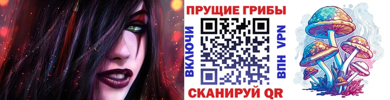 Псилоцибиновые грибы ЛСД  KRAKEN ССЫЛКА  Юрьевец 