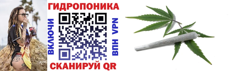 блэк спрут рабочий сайт Юрьевец Бошки Шишки Bruce Banner